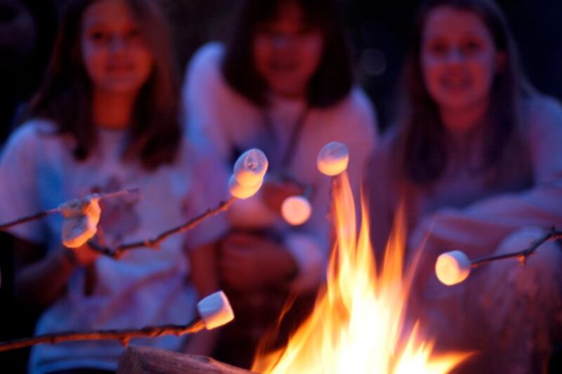 Marshmallows around the bushcraft campfire