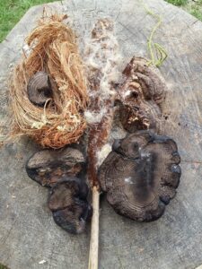 Natural Tinders and Fungi