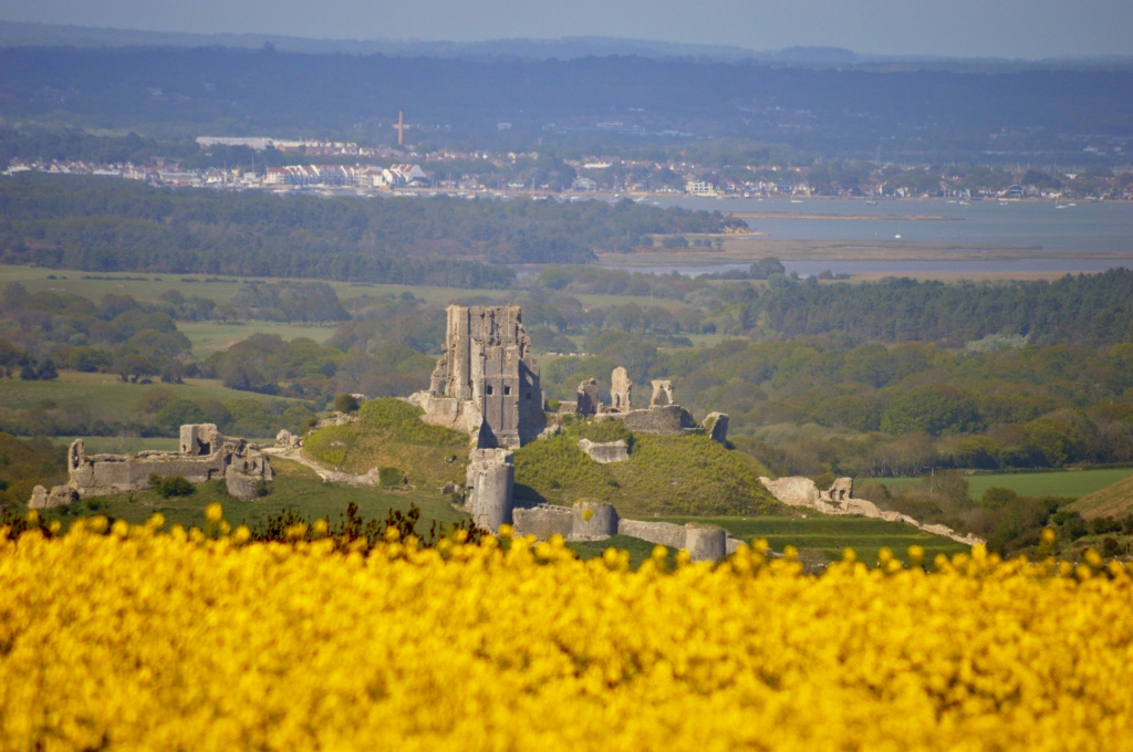 Corfe Castle Purbeck Dorset History