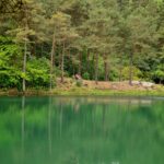 View of blue pool and surrounding woodlands