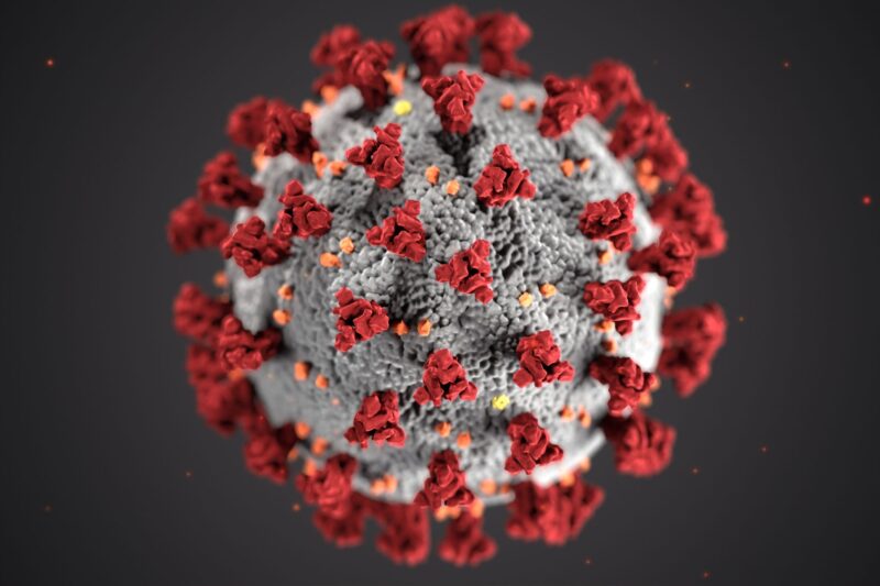 Structure of coronavirus