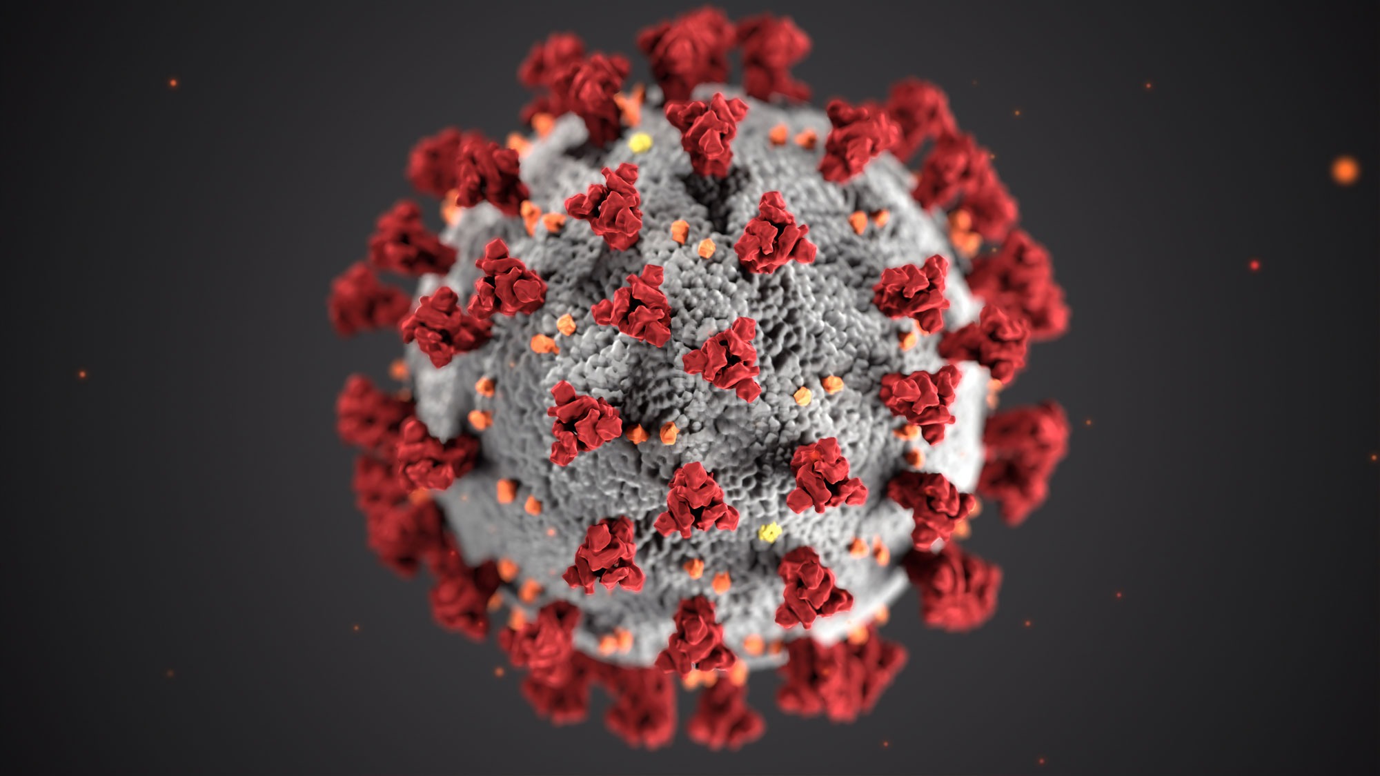 Structure of coronavirus