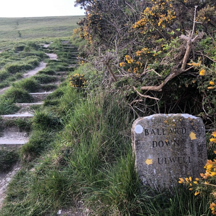 ballard down swanage