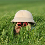 child with binoculars in grass