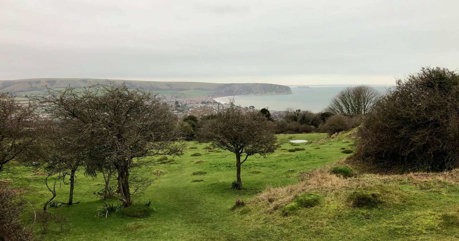 view over swanage bay from the townsend nature reserve