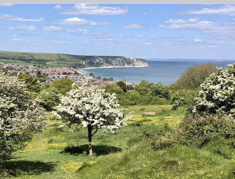 view over swanage bay from townsend nature reserve