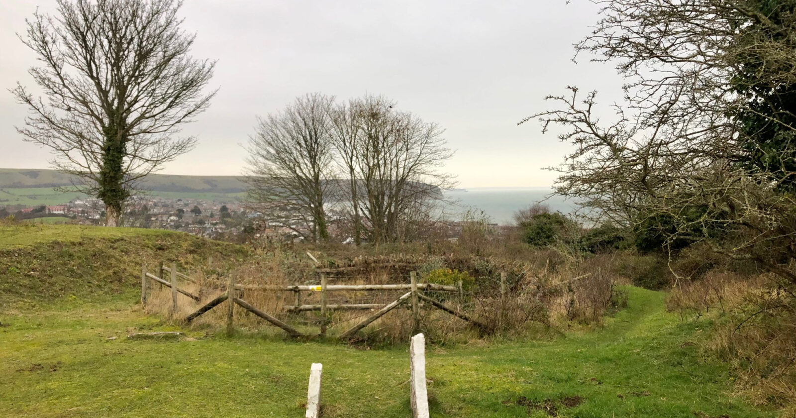 townsend nature reserve quarr