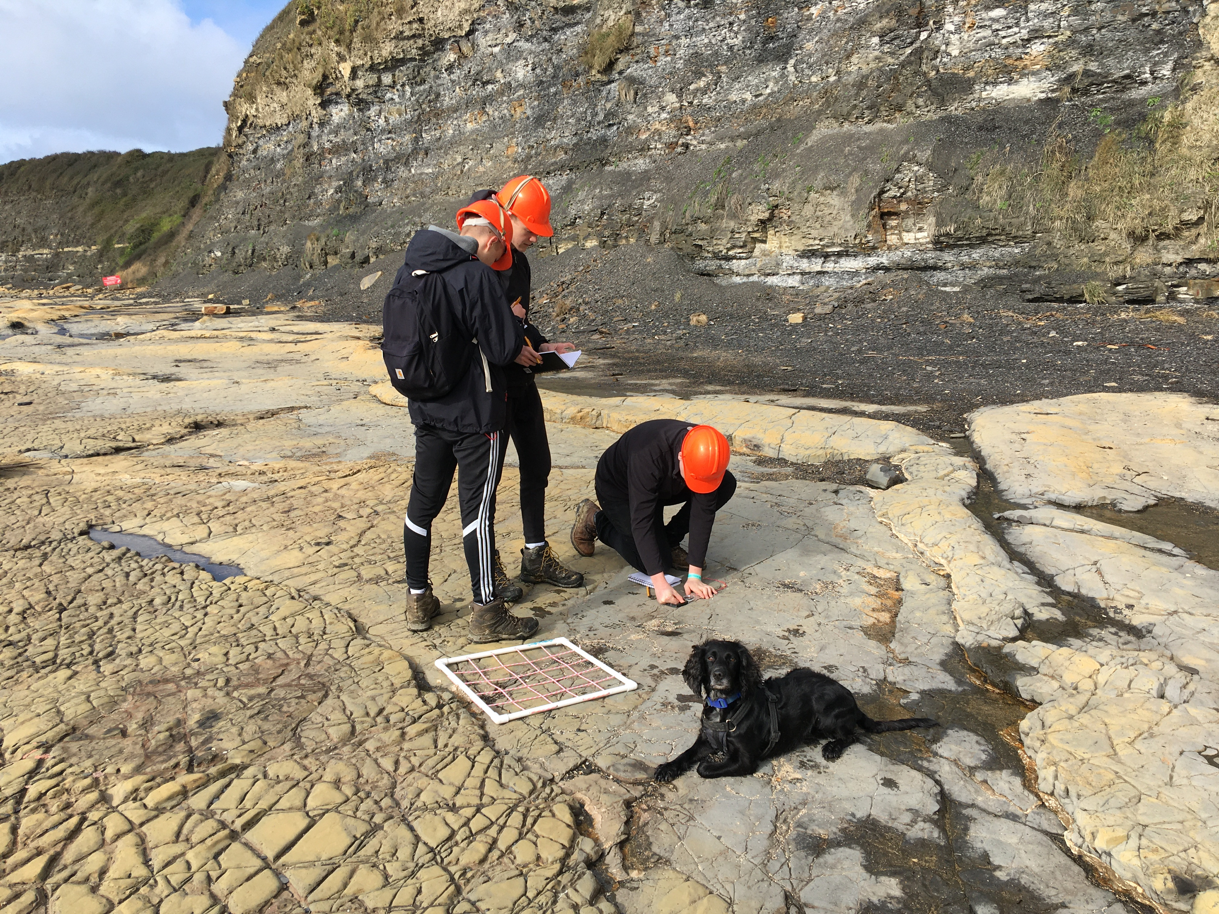 field study trip on the Jurassic Coast in Dorset