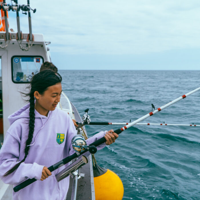 boat fishing swanage