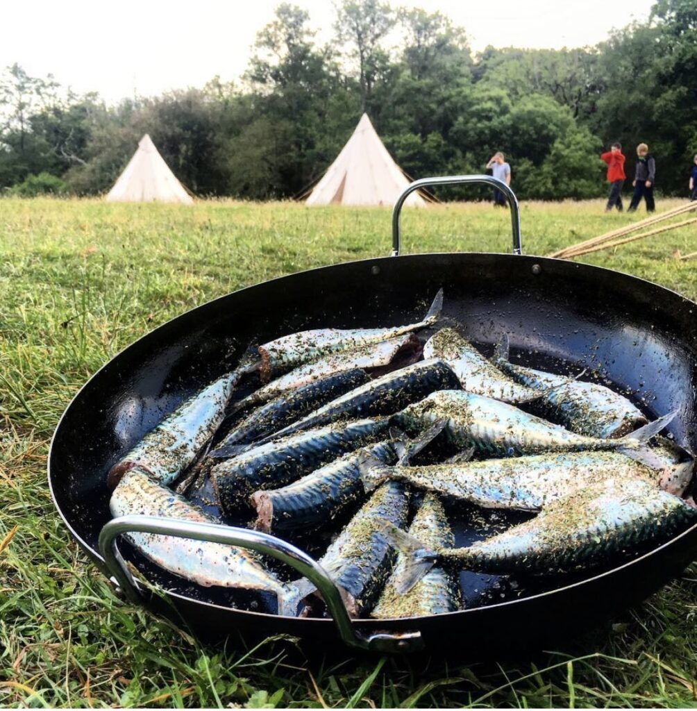 pan of freshly caught mackerel