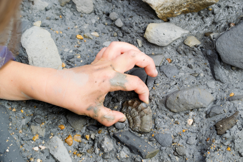 Child fossil hunting Jurassic Coast